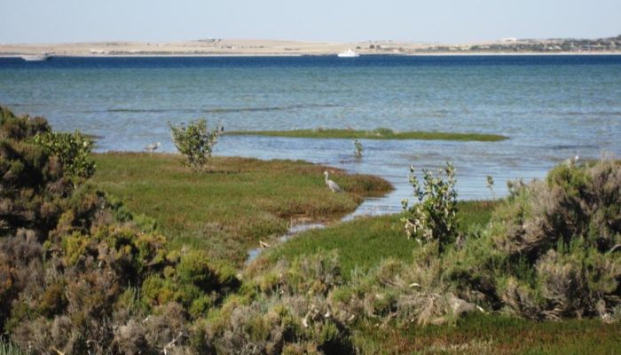 Coffin Bay (11)