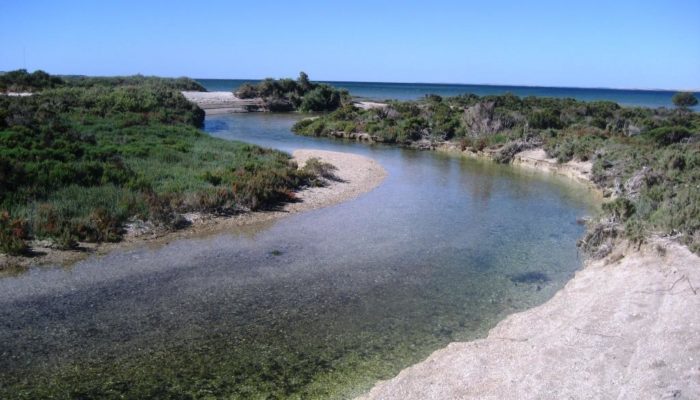 Coffin Bay (12)