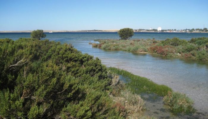 Coffin Bay (13)