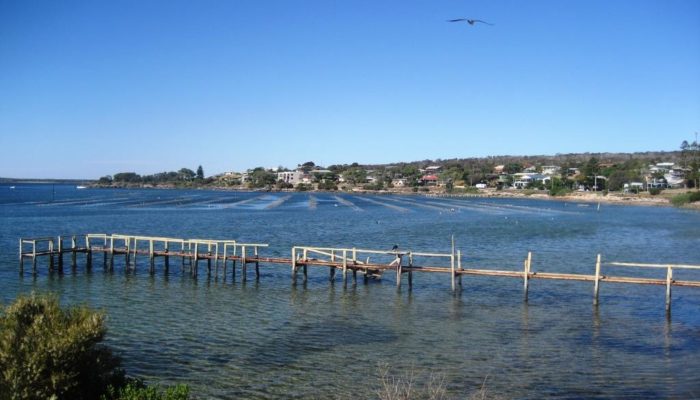 Coffin Bay (20)