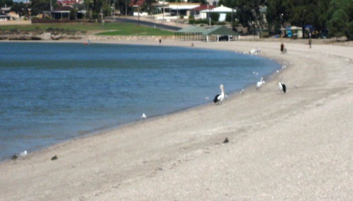 Coffin Bay (7)