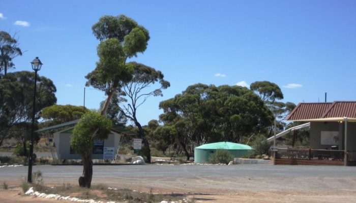 Eyre Highway (3)