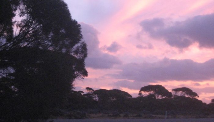 Eyre Highway (5)