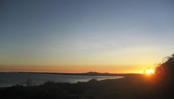 Port Augusta (14)