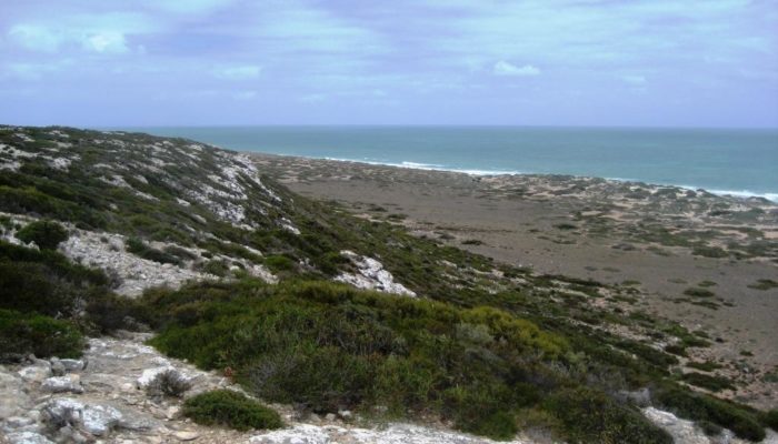 Streaky Bay (20)