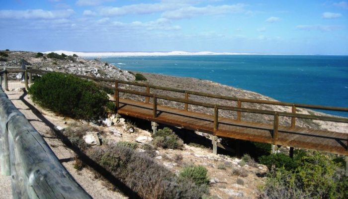 Streaky Bay (31)